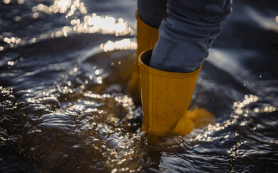 Avoid These 10 Costly Mistakes in Utah Flood Repair
